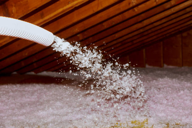 Best Insulation Installation Services in Dundas, MN