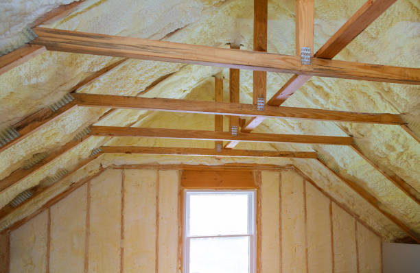 Best Residential Insulation in Dundas, MN