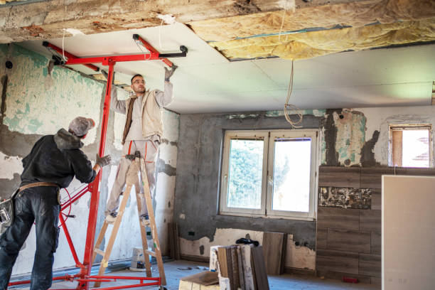 Best Insulation Maintenance and Repair in Dundas, MN