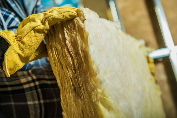 Best Types of Insulation in Dundas, MN